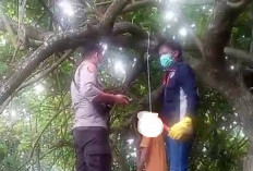 BREAKING NEWS! Warga Kaur Ditemukan Tewas Tergantung