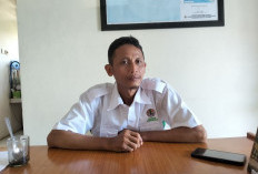 Populasi Harimau Sumatera di Kaur Masih Banyak dan Aktif Menjelajah 