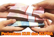 KUR dan KUPRA Perbedaannya Apa Ya? Yuk Temukan Jawabannya di Sini!