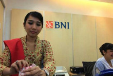 KUR BNI Gunakan Dua Sistem, Online dan Offline, Mana yang Lebih Efektif? Simak Penjelasan Ini