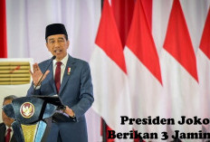 Sebelum Presiden Baru, Presiden  Jokowi Berikan 3 Jaminan Ini Bagi Honorer yang Lulus PPPK 2024