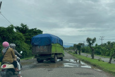 Jalan Depan GOR Rusak Parah, Warga Soroti Lambannya Perbaikan Jalan Padang Panjang