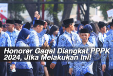 Honorer Gagal Diangkat PPPK 2024, Jika Melakukan Ini!