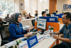 Tak Perlu Bingung Modal! Ini Rincian Lengkap KUR BRI 2026 dan Syaratnya, Pinjaman Rp 80-150 Juta