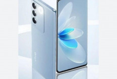 Empat HP Vivo Fitur Canggih Harga 4 Jutaan, Cocok Buat Anda Semua dan Layar AMOLED 
