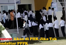 SIAP – SIAP! Tenaga Honorer Akan Kena PHK 2025 Jika Tidak Lakukan Ketentuan Ini