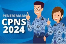 RESMI! KemenPAN-RB Umumkan Pendaftaran   CPNS dan PPPK 2024, Cek Jadwal dan Kuotanya
