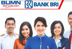 BRI Buka Loker, Butuh Tenaga Rapi dan Sopan, Berikut Syaratnya