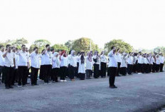 Ribuan Honorer di Bengkulu Selatan Resmi   Dirumahkan, Hingga Waktu Tak Ditentukan