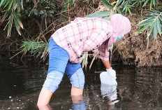 Soal Uji Labor Air Sungai Perumbaian Belum Keluar, Bambang :  Sampel Sudah Kami Kirim ke Bengkulu