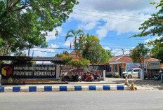 Laporan Dugaan Pelanggaran Pemilu Kedua Cagub Bengkulu Telah Ditutup, 66 ASN Masih Diproses