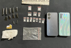 Jaringan Narkoba Mulai Terkuak! Satresnarkoba Polres Bengkulu Selatan Amankan Pelaku dan 12 Paket Sabu