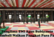 Panglima TNI Kembali Naikan Pangkat 18 Pati TNI AD, 12 Pati TNI AL, dan 6 Pati TNI AU, Cek Daftar Namanya