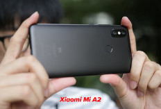 Mengintip Spek Xiaomi Mi A2, Kualitas Kamera Dijamin Wow!