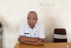 LHP Dana Desa Tidak Sesuai Target, Ini Penjelasan Inspektorat Kaur 