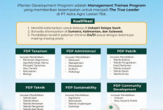 Siapkan Berkas Lamaran Anda, PT Astra Agro Lestrasi Buka Loker Daftar Sekarang! 