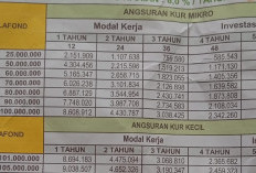 KUR Bank Bengkulu 2026 Pinjaman Rp25-500 Juta Cicilan Ringan Mulai Rp400-an Ribu, Cek Syaratnya