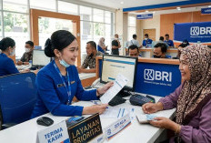 Panduan Lengkap KUR BRI 2026: Cicilan Rp 1 Juta hingga Rp 25 Juta, Mana yang Paling Ringan?