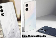 HP Oppo A5x atau Oppo A5, Mana yang Lebih Hebat? Yuk Intip di Sini!