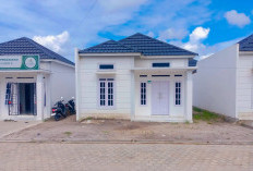 Rumah Subsidi di Muaro Jambi Sisa 50 Unit, Harga Terjangkau dan Bebas Banjir