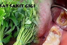 Tanaman Obat Sakit Gigi Ini Ampuh Atasi Gigi Berlubang, Simak Nama dan Cara Menggunakannya 