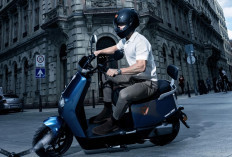 Motor Listrik Subsidi dengan Daya Angkut Hingga 200 Kg, Murah dan Tangguh, Cek di Sini Mereknya