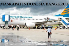 Selain Merpati, Berikut Deretan Maskapai Penerbangan Indonesia Yang Bangkrut! 