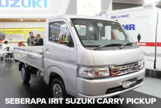 Jadi Kendaraan Niaga Favorit Sejak 1976, Kira-kira Seberapa Irit Suzuki Carry Pickup? 