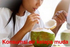 Konsumsi Air Kelapa Muda Berlebihan Naikan Gula Darah, Mitos atau Fakta? Ini Penjelasannya