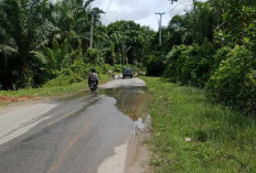 Air Tergenang di Jalan Provinsi, Ini Tanggapan Warga Kaur