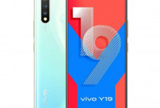 INFO TERBARU! Canggihnya Luar Biasa, Tapi Jangan Heran, HP Vivo Harganya Cuma Segini Canggihnya Luar Biasa