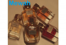 Tentu Banyak Diminati, Parfum Beraroma Mewah, Pengalaman Multi Sensorial