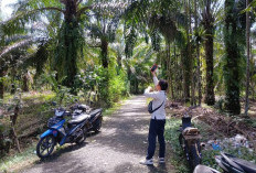 Blankspot Menghantui Sejumlah Wilayah Bengkulu Selatan, Begini Langkah Dilakukan Bupati Terkininya!