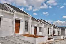 Inilah 5 Desain Rumah Subsidi Tipe 36 yang Estetik, Minimalis Elegan di Lahan Terbatas
