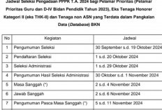 Masa Sanggah Segera Berakhir, Cek Jadwal Seleksi Kompetensi PPPK 2024