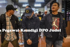 Tiga Pegawai Komdigi DPO Judol Ditangkap Polda Metro Jaya, Cek di Sini Peran Ketiganya