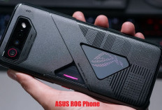 Rekomendasi HP ASUS ROG Phone Terbaik untuk Para Gaming, Mana Pilihanmu?