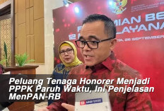 Peluang Tenaga Honorer Menjadi PPPK Paruh Waktu, Ini Penjelasan MenPAN-RB