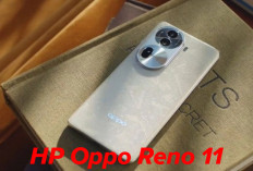 HP Oppo Reno 11 Baterai Tahan Lama dan Pengisian Super Cepat, Yuk Rasakan Sekarang! 