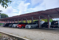 Walau Efisiensi Anggaran, Pemkab Bengkulu Selatan Prioritaskan Mobil Carry Armada Camat