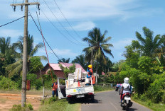 ULP PLN Bintuhan Perkuat Pelayanan, Keluhan Bisa Disampaikan Masyarakat Lewat Akses Ini 