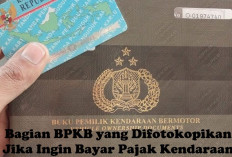 Yuk Kenali! Bagian-bagian BPKB yang Difotokopi Jika Ingin Bayar Pajak Kendaraan