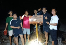  Bentuk Kepedulian, Karang Taruna  Senehak Cek Buaya di Muara Sambat 