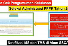 Cara Mengecek Kelulusan Seleksi Administrasi PPPK 2024