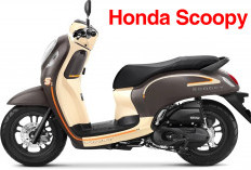 Ingin Beli Honda Scoopy Bekas Tapi Takut Menyesal, Ikuti 8 Tips Ini Yuk! Dijamin Aman