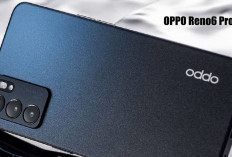 OPPO Reno6 Pro 5G Smartphone dengan Layar Lengkung, Sudah Ada Dukungan Chipset Dimensity