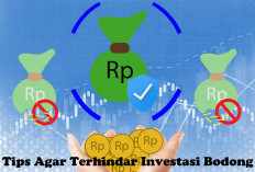 Investor Pemula Wajib Tahu, 3 Hal yang Harus di Perhatikan Agar Terhindar Investasi Bodong!