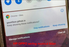 HP OPPO Sering Muncul Iklan? Begini Cara Menghilangkannya dengan Mudah