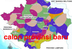 Sudah Dapat Restu Presiden RI, Ini 3 Provinsi Baru Indonesia Hasil Pemekaran Sumatera Selatan