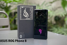 Performa HP ASUS ROG Phone 8 Pro Sebagai Smartphone Gaming Terbaik